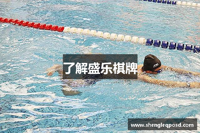 了解盛乐棋牌