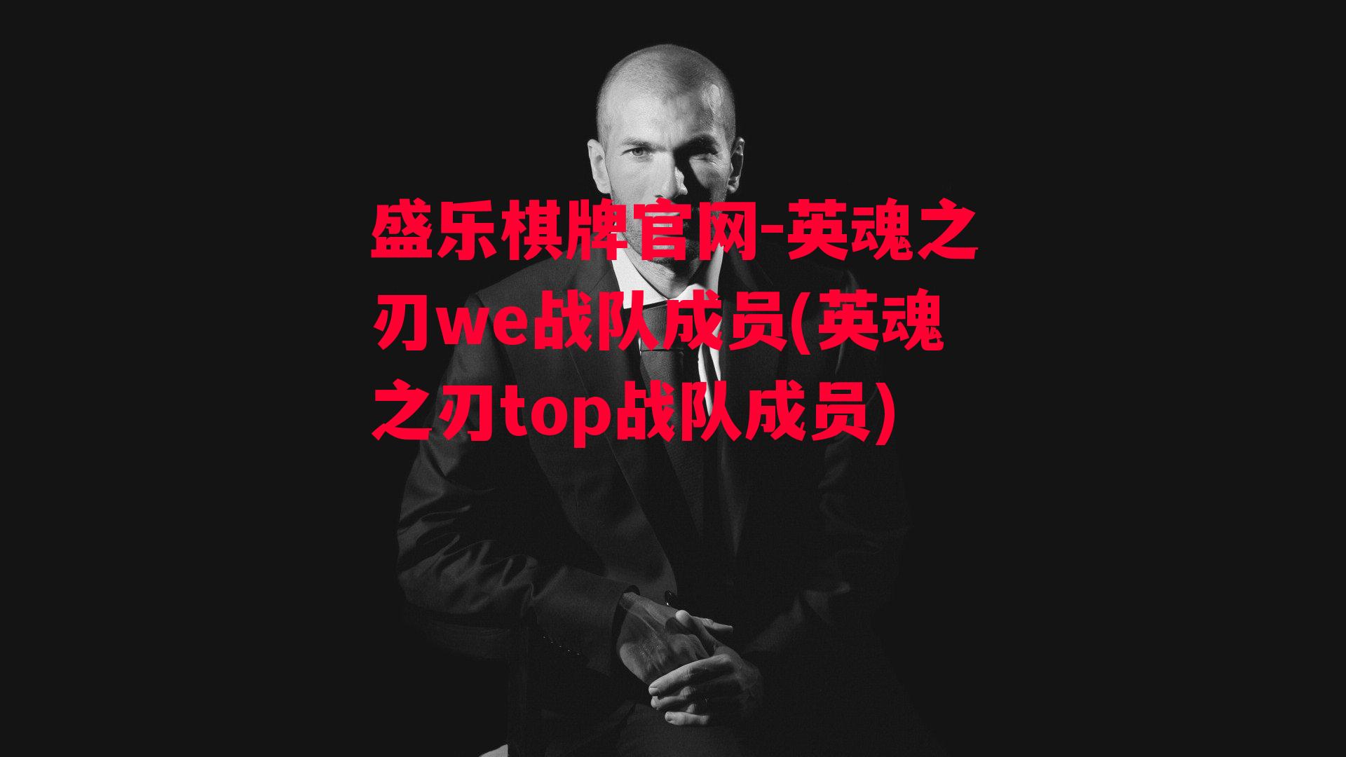 英魂之刃we战队成员(英魂之刃top战队成员)